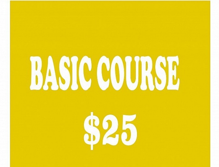 DI BASIC COURSE